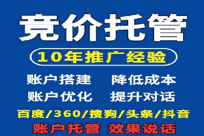 百度推广实战：成功案例解析